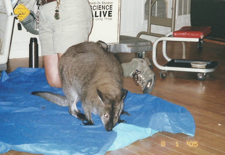 science alive2010