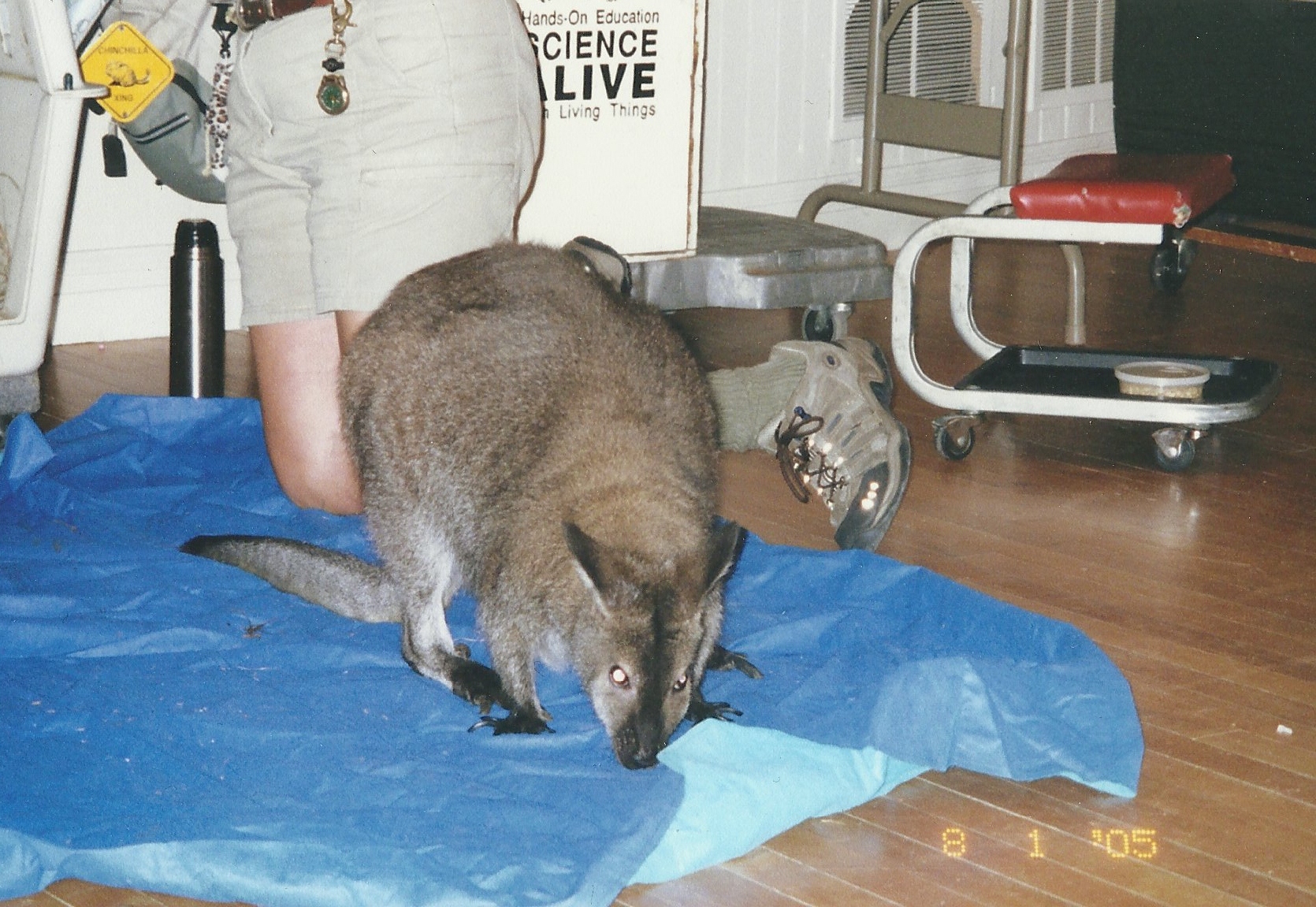 science alive2010