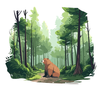 Story Time: Bears