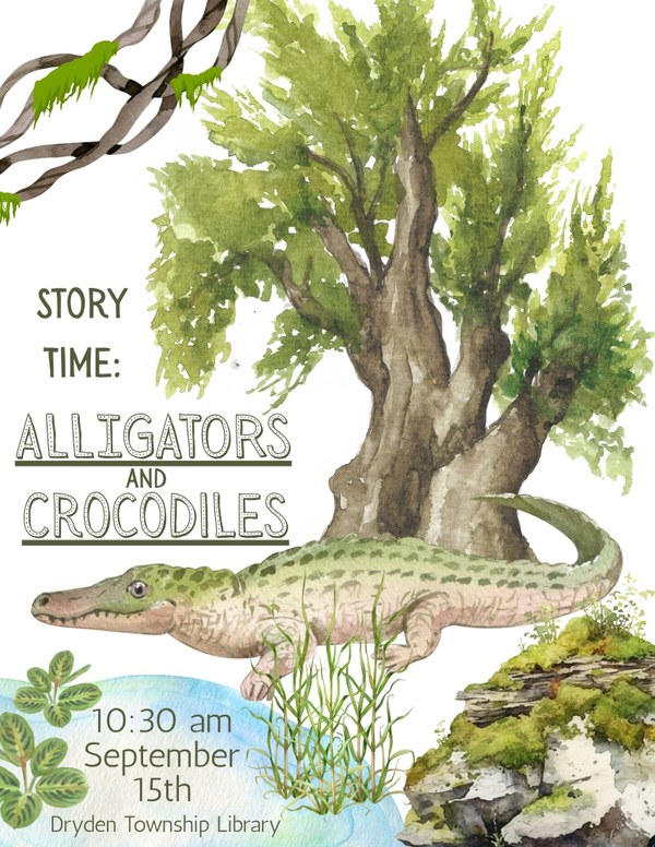 Gator Croc Time.jpg